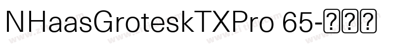 NHaasGroteskTXPro 65字体转换